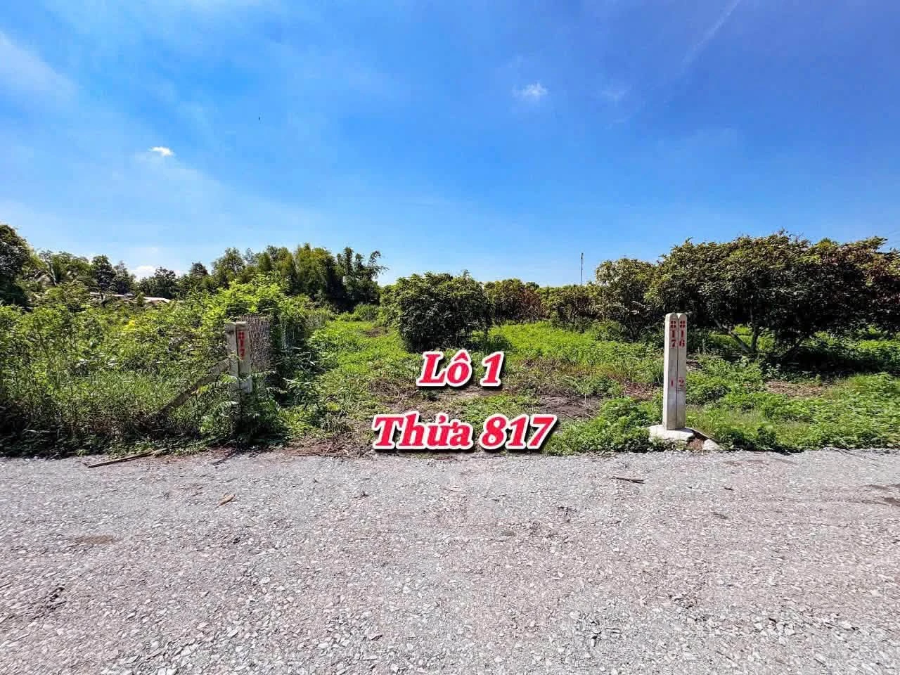 Bán 8 lô đất thổ cư 5x40 tại Cầu Khởi, Tây Ninh 279 triệu/lô - Ảnh 1