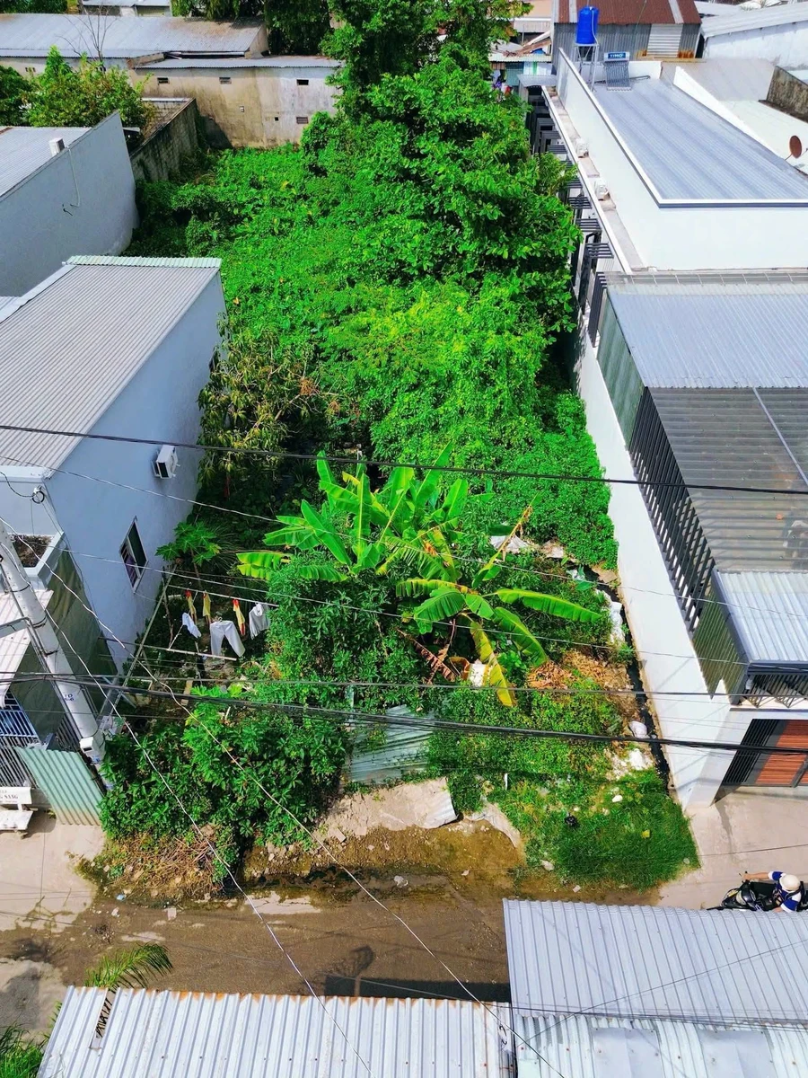 Bán đất nền 232m² Quang Trung Vĩnh Quang 1 tỷ 600 triệu - Ảnh thu nhỏ 2