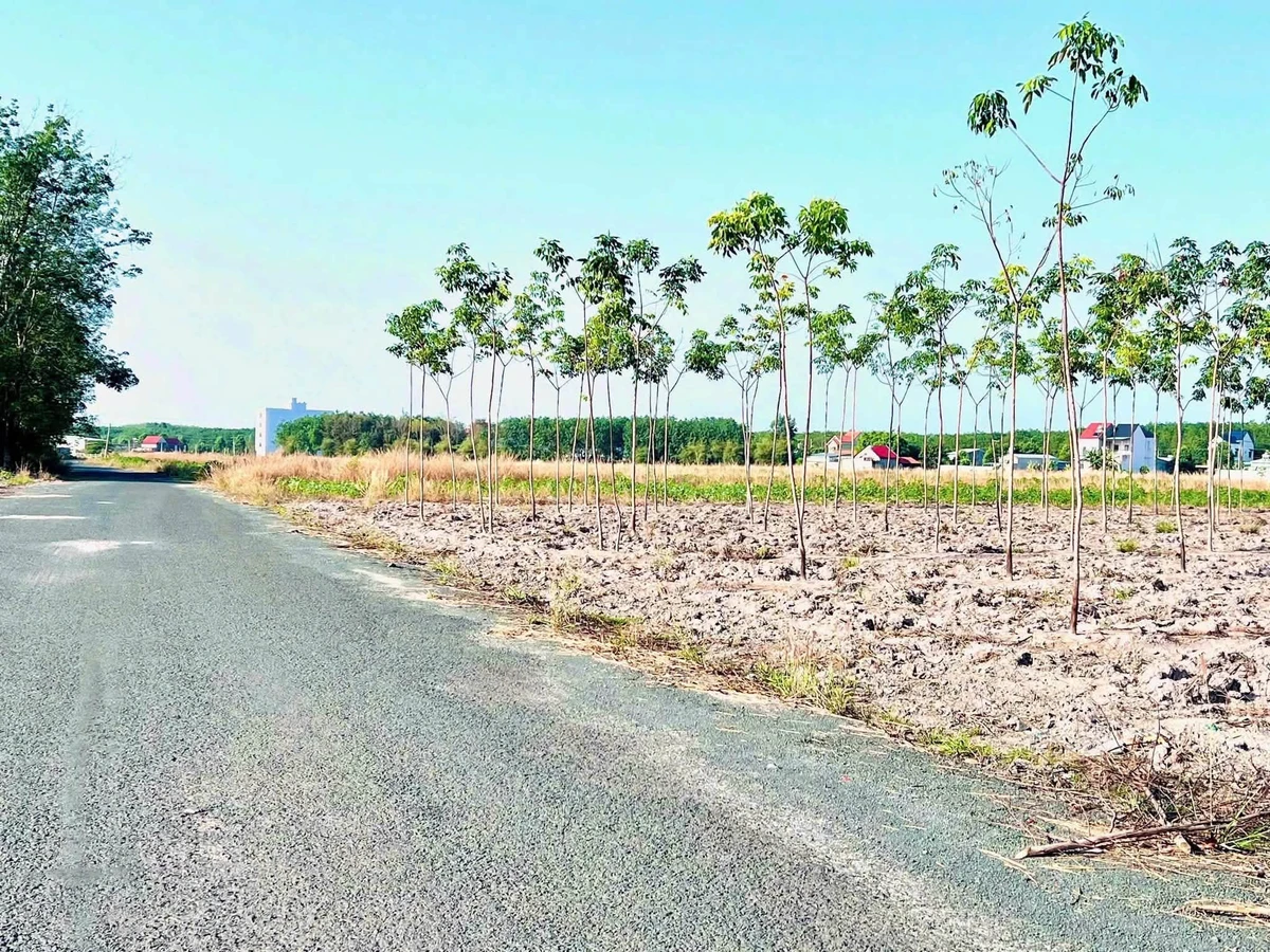 Bán đất nền 225m² đường Nguyễn Văn Linh, Chơn Thành - Ảnh thu nhỏ 2