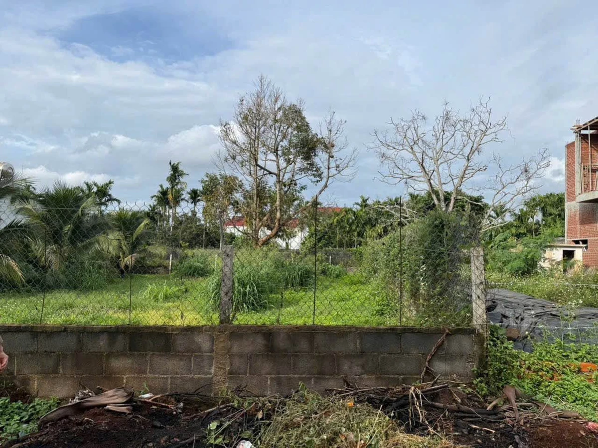 Bán đất 120m² đường Nguyễn Lương Bằng, Nhà Bè, 1 tỷ 9 triệu - Ảnh thu nhỏ 3