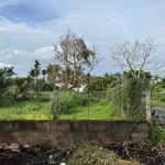 Bán đất 120m² đường Nguyễn Lương Bằng, Nhà Bè, 1 tỷ 9 triệu - Ảnh thu nhỏ 3