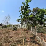 Bán đất tại xã Ea Tu, 4,5 tỷ, 625m2, giá ưu đãi - Ảnh thu nhỏ 8