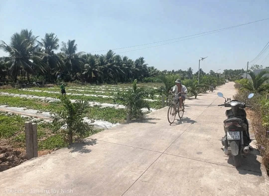 Bán đất Tân Trụ 140m² mặt tiền 589 triệu - Ảnh 1