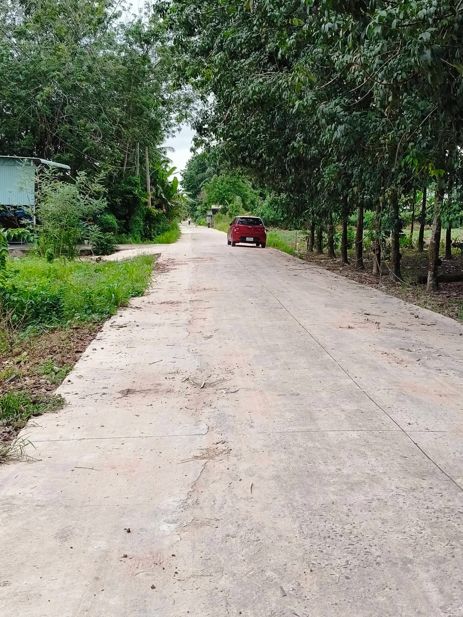 Bán đất 2136m² Phủ Hồng Tây Ninh, cách thị trấn 1km - Ảnh thu nhỏ 3