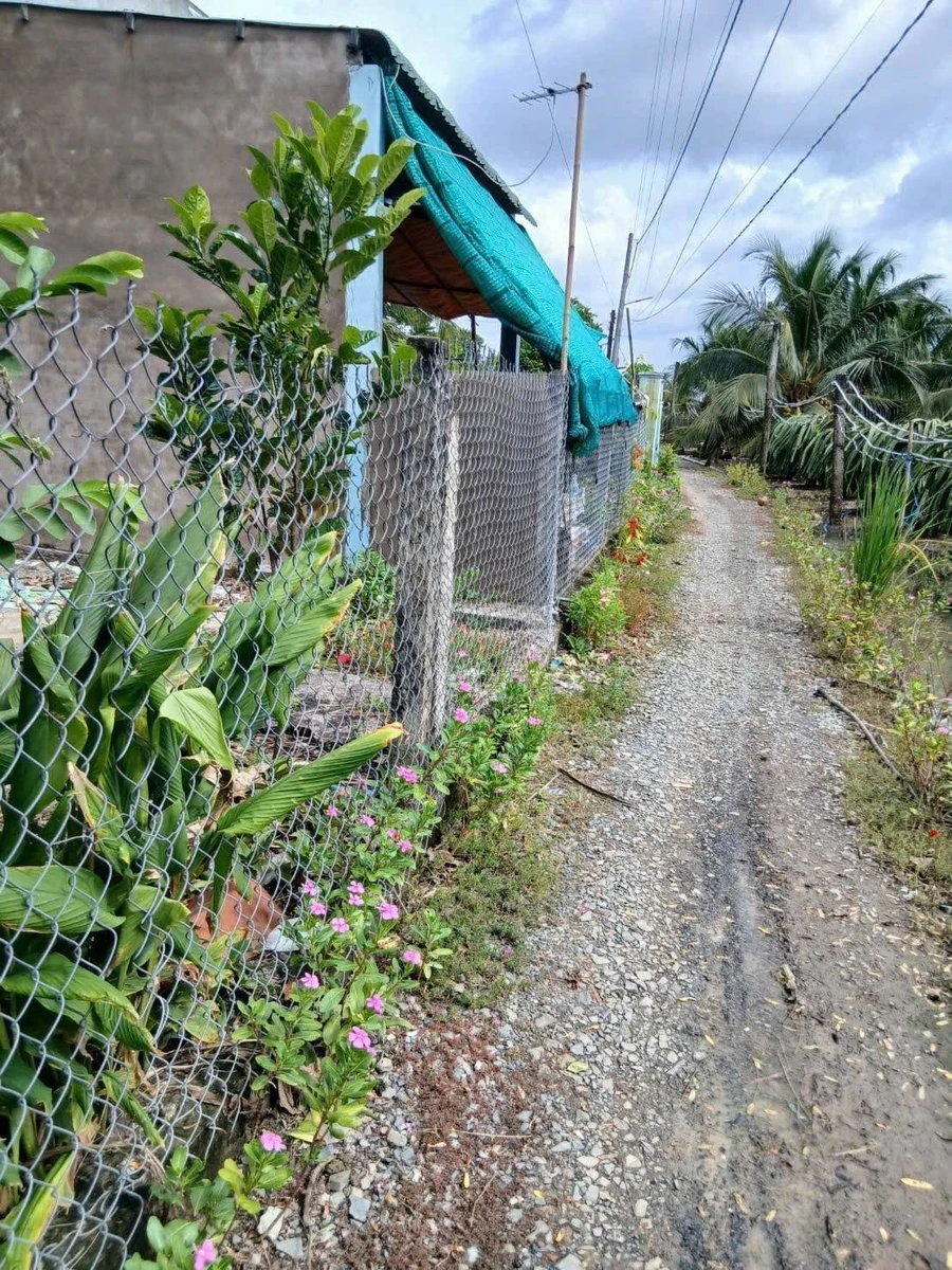 Bán đất thổ cư 105m2 ấp 1 Hòa Phú, Châu Thành, Long An giá 360 triệu - Ảnh thu nhỏ 4