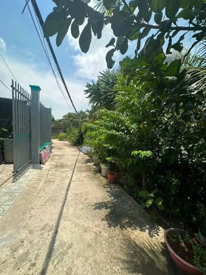 Bán nhà 3 phòng ngủ 110m² Xã Phú Hưng Bến Tre - Ảnh thu nhỏ 2