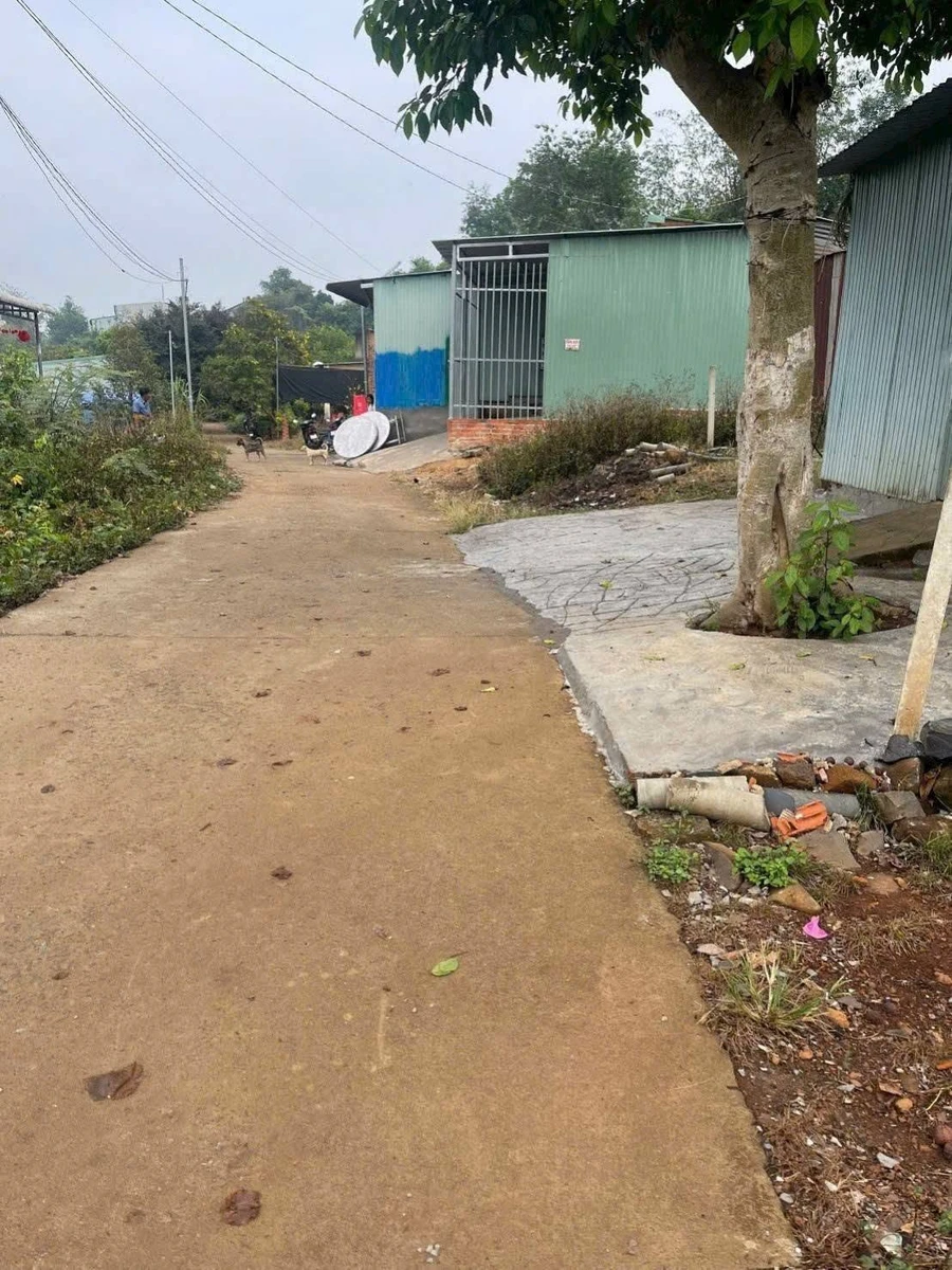 Bán đất 80m² khu dân cư giá rẻ Bình Phước - Ảnh thu nhỏ 3
