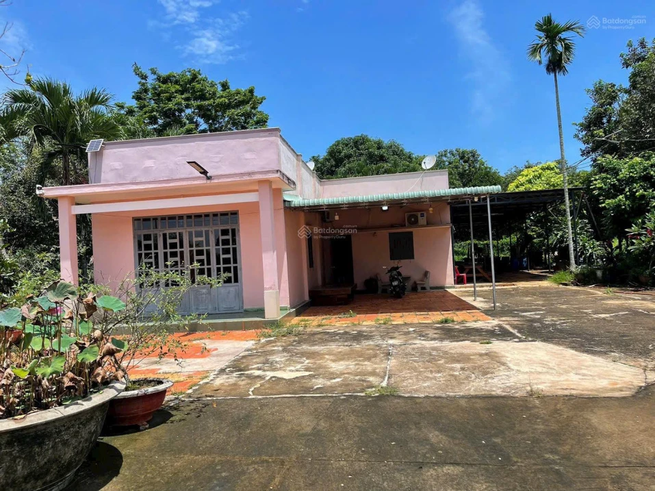Bán khoảng 9 sào 7 (9745m2) đất phường Tân Thành, Tp. HCM). Giá 13 tỷ - Ảnh 1