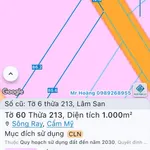 Bán đất 1000 m² Cẩm Mỹ Đồng Nai giá 6 tỷ sổ hồng - Ảnh thu nhỏ 2