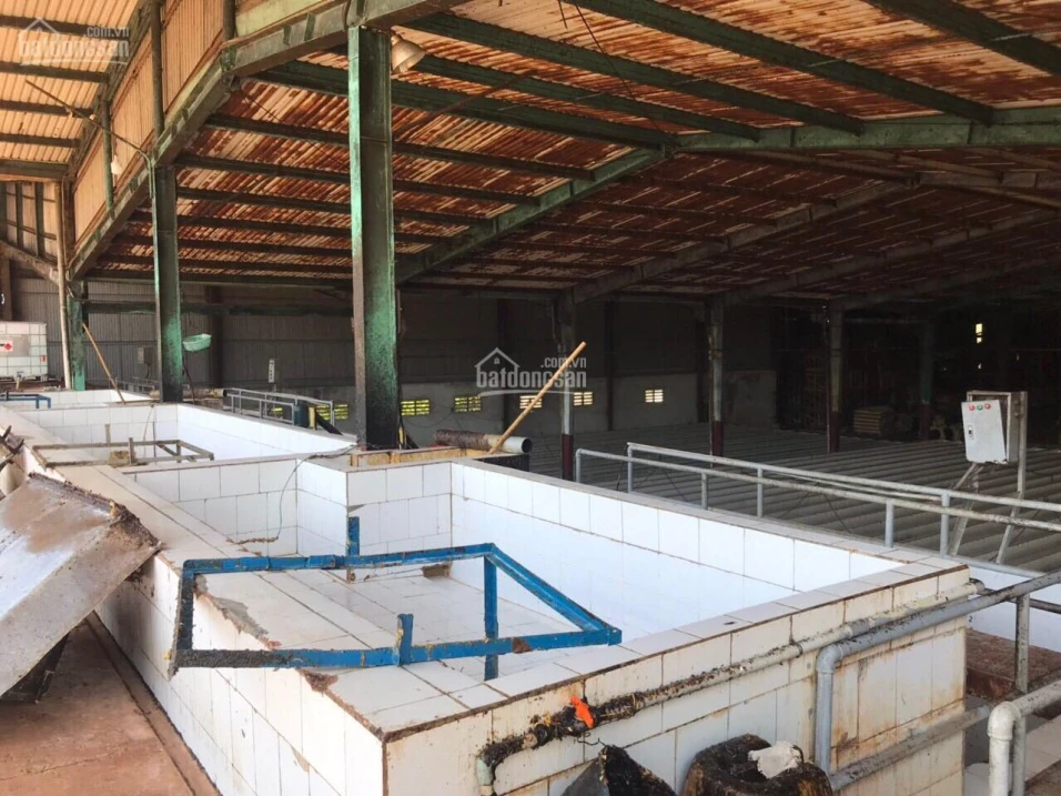 Chính chủ bán nhà máy chế biến mủ cao su Giang Sơn, 20.000m2, đang hoạt động tốt, pháp lý rõ ràng - Ảnh thu nhỏ 4