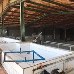 Chính chủ bán nhà máy chế biến mủ cao su Giang Sơn, 20.000m2, đang hoạt động tốt, pháp lý rõ ràng - Ảnh thu nhỏ 4
