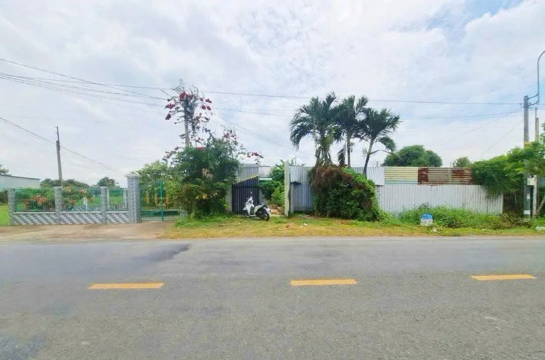 Bán đất 1916m2 mặt tiền đường nhựa 833 Bình Lãng, Tân Trụ, Long An giá 6,5 tỷ - Ảnh thu nhỏ 4