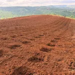 Bán đất 2ha sổ sách đầy đủ, 250m mặt đường, Lâm Đồng - Ảnh thu nhỏ 3