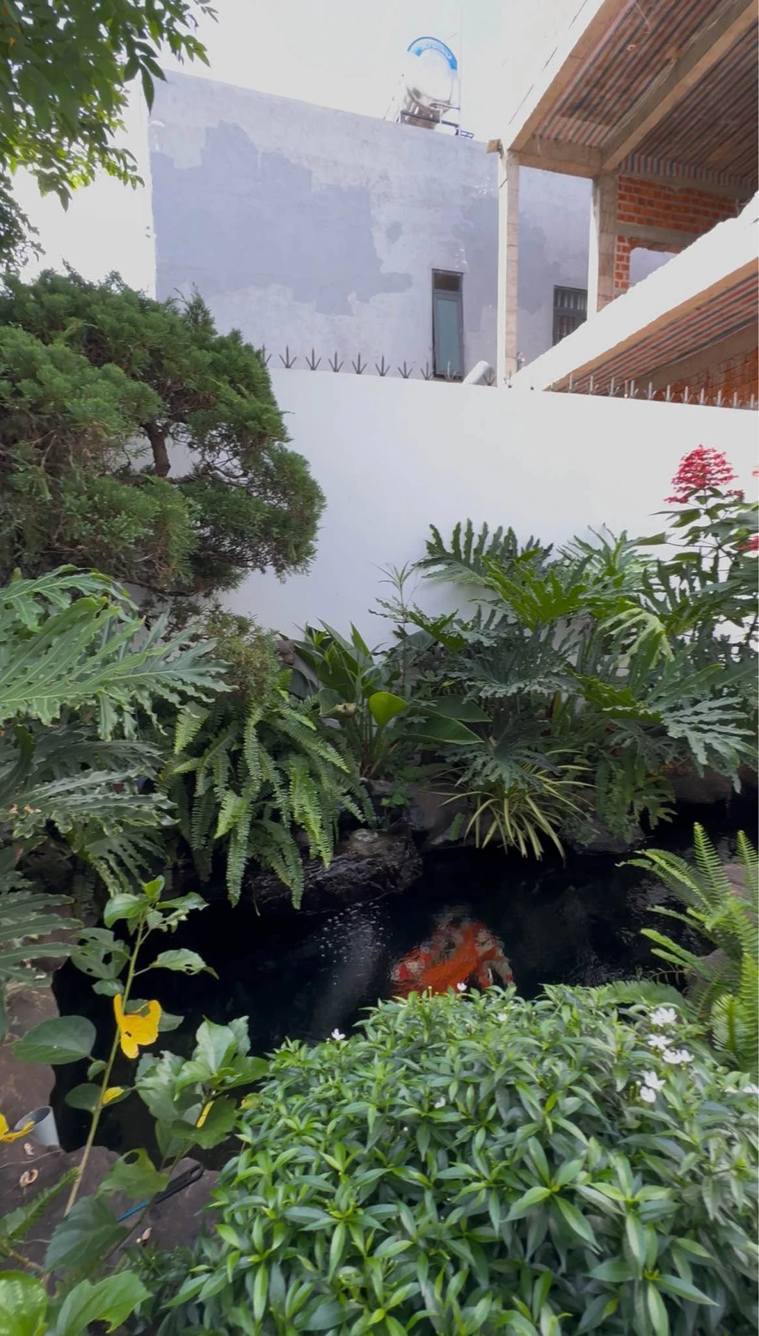 Bán nhà 2 tầng sân vườn, sân ô tô rộng, 3 phòng ngủ, gần Đại học Tây Nguyên, Buôn Ma Thuột - Ảnh 1