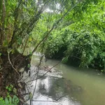 Bán đất 2 sào Củ Chi, mặt tiền, view suối, có cây ăn trái - Ảnh thu nhỏ 3