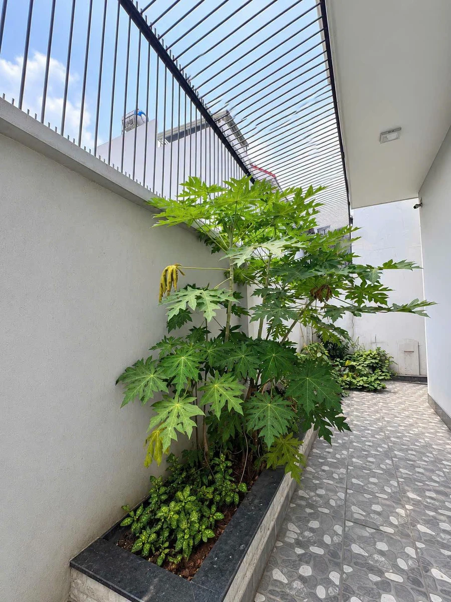 Bán biệt thự Bửu Long Biên Hòa 230m2, 11 tỷ 900 triệu - Ảnh thu nhỏ 5