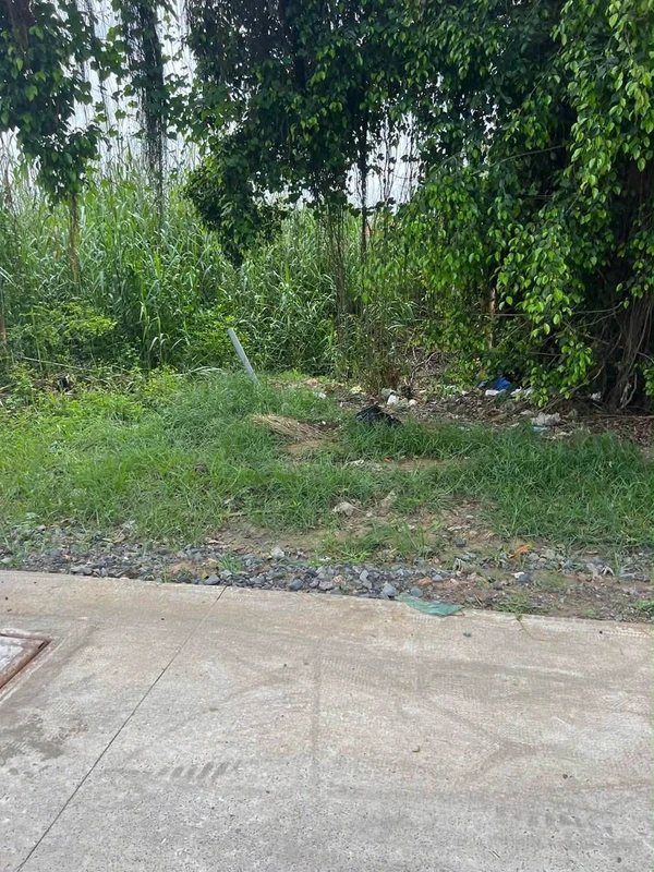 Bán đất thổ cư mặt tiền betong 5x32m, giá 1 tỷ 400 tại Đức Hòa, Long An