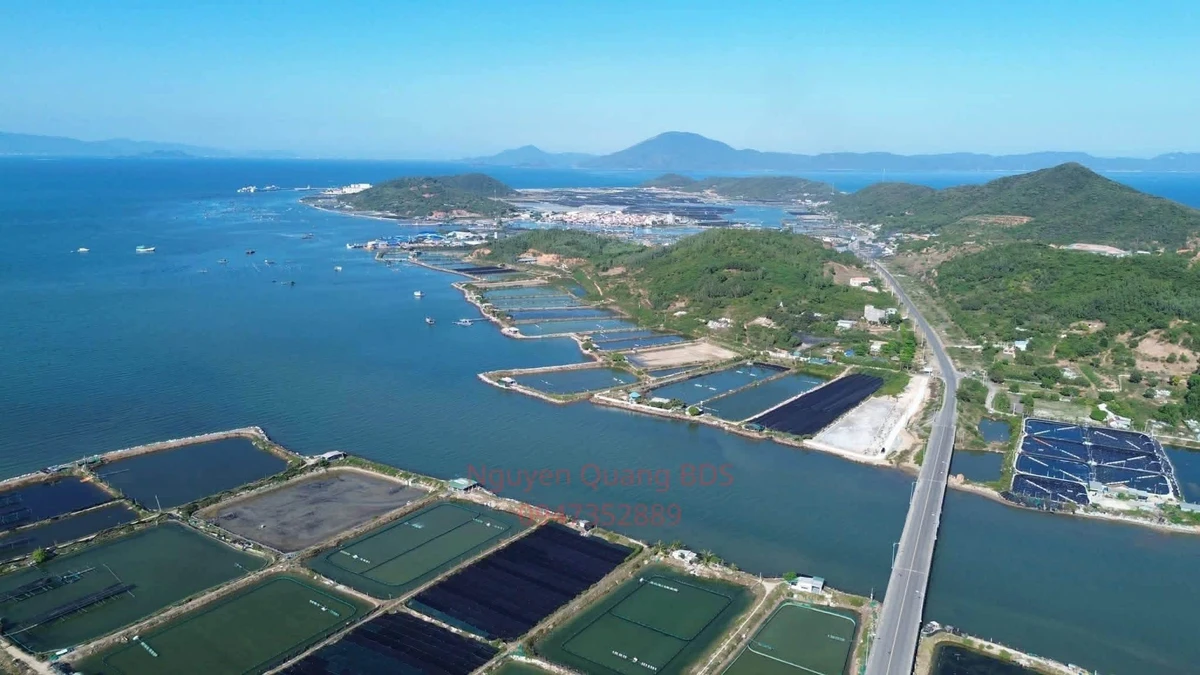 Bán lô đất góc 2 mặt tiền 2554m2 mặt biển Ninh Hòa 11tr/m2 - Ảnh thu nhỏ 2