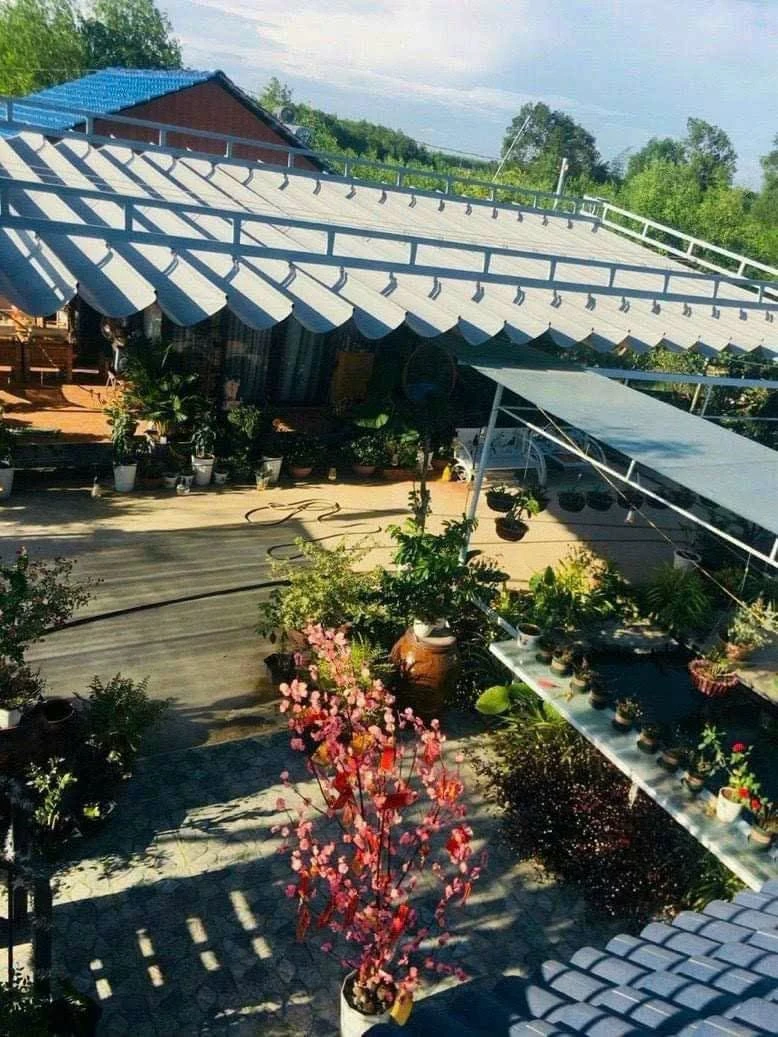 Bán đất vườn Lộc An 1537m2, Bà Rịa - Vũng Tàu, 5tỷ4 - Ảnh thu nhỏ 2