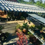 Bán đất vườn Lộc An 1537m2, Bà Rịa - Vũng Tàu, 5tỷ4 - Ảnh thu nhỏ 2
