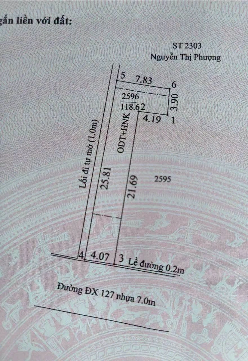 Bán lô đất Tân An Thủ Dầu Một 65.4m² giáp đường DX127 - Ảnh thu nhỏ 4