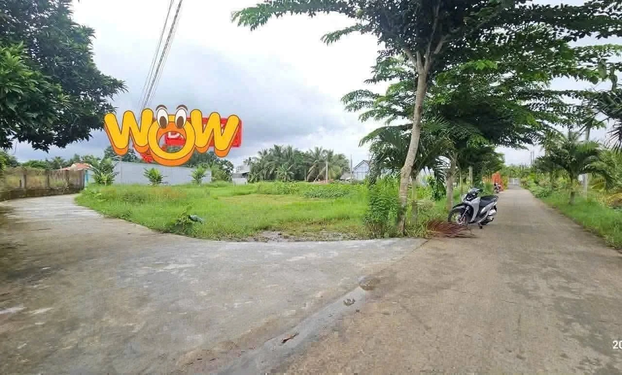 Bán đất lô góc 2 mặt tiền 190m2 giá 529 triệu sát ranh TP. Tân An, Long An - Ảnh 1