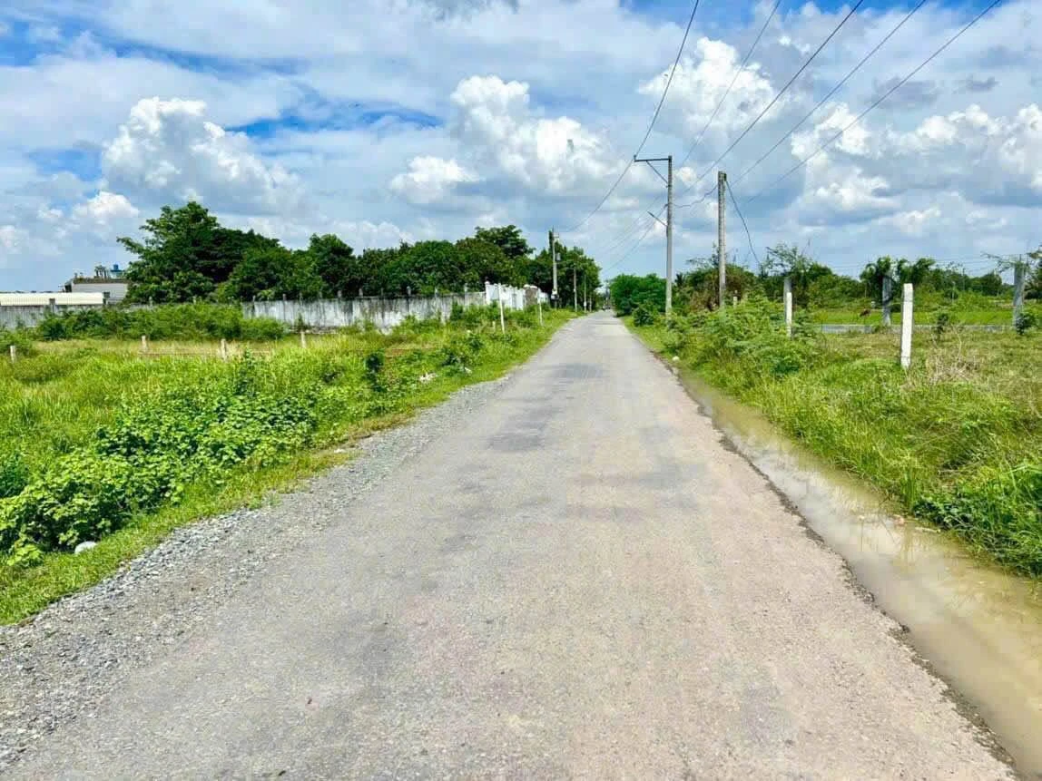 Bán đất mặt tiền Nguyễn Văn Dương 192,5m² Hóc Môn - Ảnh thu nhỏ 3