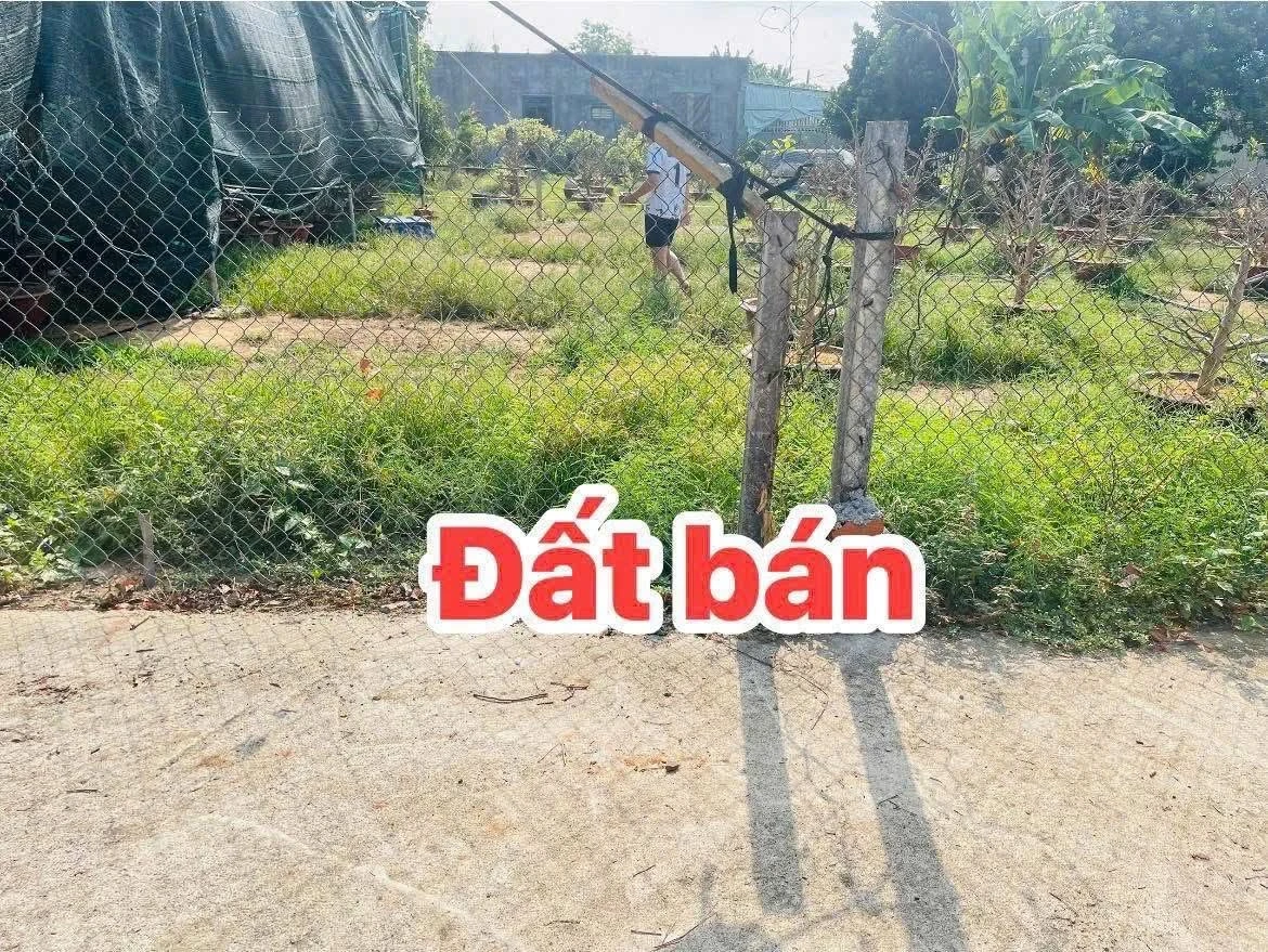 Bán đất 7x16m (60m² thổ cư) trung tâm xã Hoà Long, TP Bà Rịa, giá 1,29 tỷ - Ảnh thu nhỏ 2