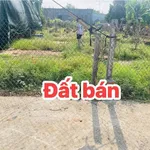 Bán đất 7x16m (60m² thổ cư) trung tâm xã Hoà Long, TP Bà Rịa, giá 1,29 tỷ - Ảnh thu nhỏ 2