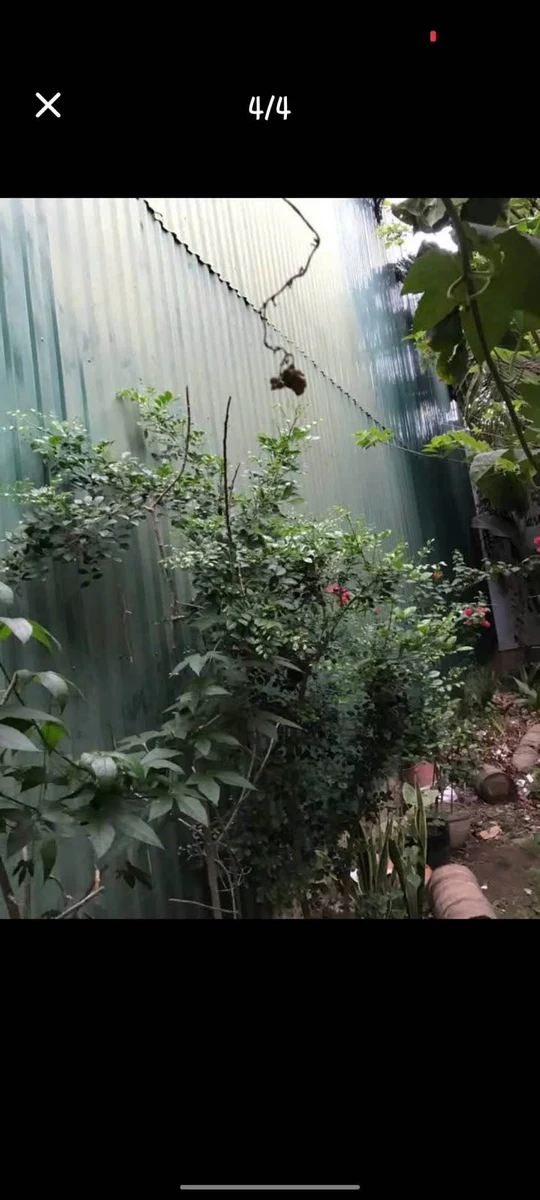 Bán lô đất 70,3m² Nha Trang, sổ riêng, giá 1 tỷ 250 triệu - Ảnh thu nhỏ 2