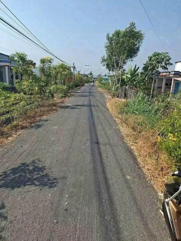 Bán đất 1000m² Tân Trung Gò Công Tiền Giang 459 triệu