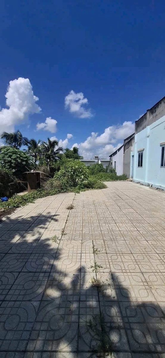 Bán lô đất 343m2 mặt tiền Tân Hội, Tân Mỹ, Hóc Môn - Ảnh 1