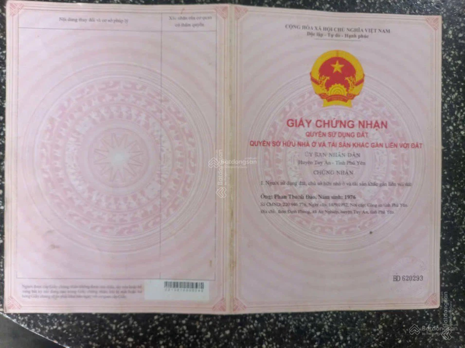 Cực rẻ, chỉ 75 triệu mua được 1,85ha đất rừng sản xuất - Ảnh thu nhỏ 2