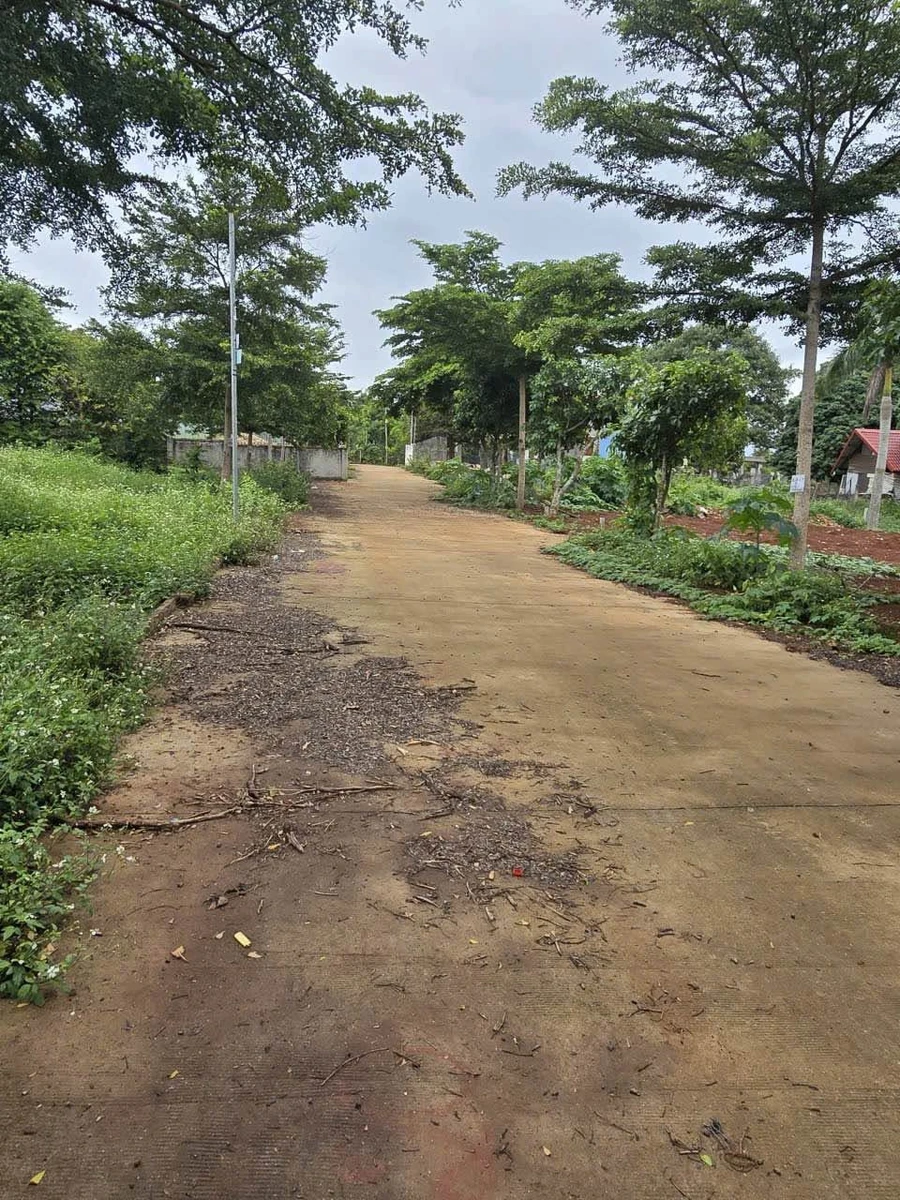 Bán đất khu Him Lam 112,5m² Bình Chánh 1,05 tỷ - Ảnh thu nhỏ 2