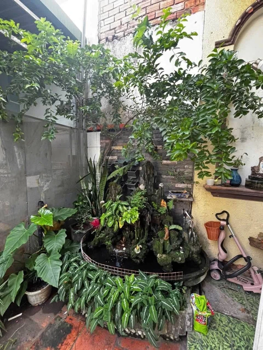 Bán nhà mặt tiền Phạm Văn Bạch, 42m², 3.75 tỷ - Ảnh thu nhỏ 4