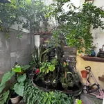 Bán nhà mặt tiền Phạm Văn Bạch, 42m², 3.75 tỷ - Ảnh thu nhỏ 4