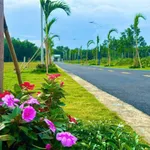 Bán đất nền 450m2 mặt tiền 10m tại ĐT 749A, Minh Thạnh, Dầu Tiếng, Bình Dương - Ảnh thu nhỏ 2