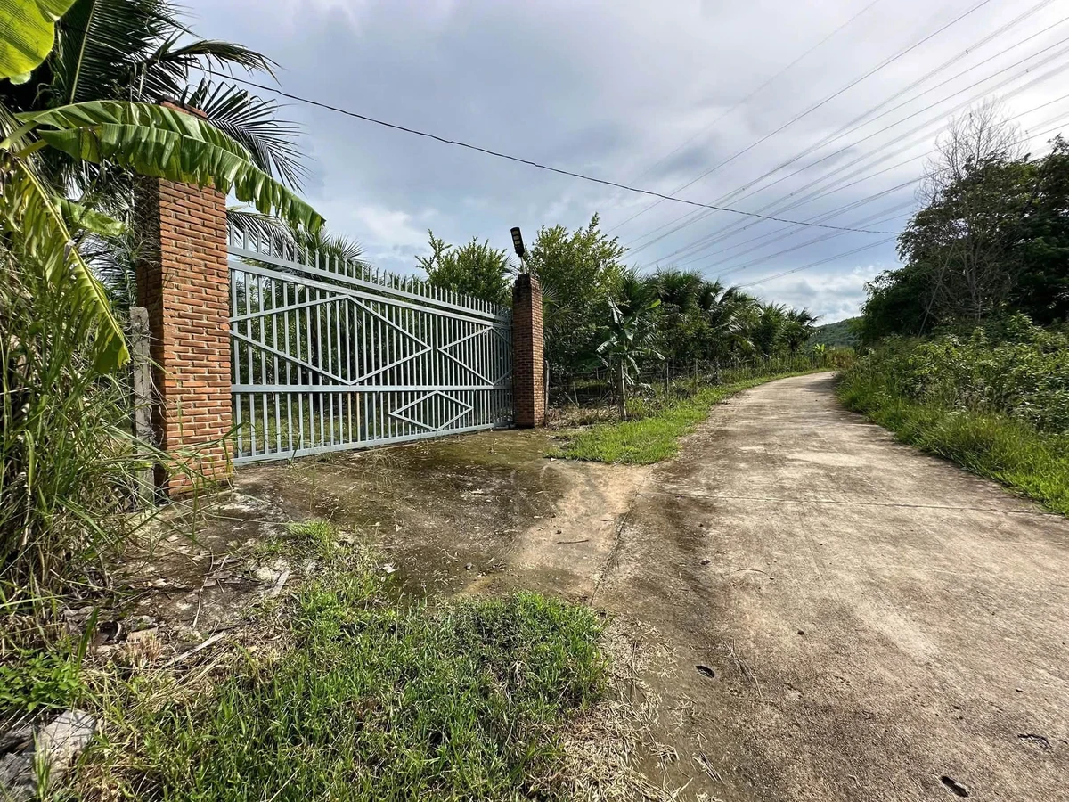 Bán farm nghỉ dưỡng Diên Thọ 16.240m² sổ hồng - Ảnh 1