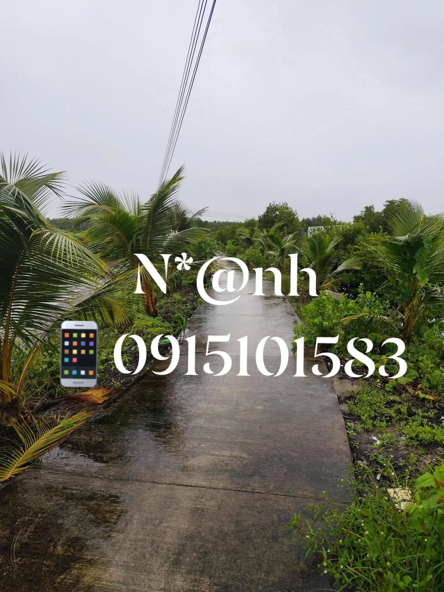 Bán đất Ngọc Hiển Cà Mau 36m² sổ hồng 1 tỷ 5 - Ảnh thu nhỏ 3