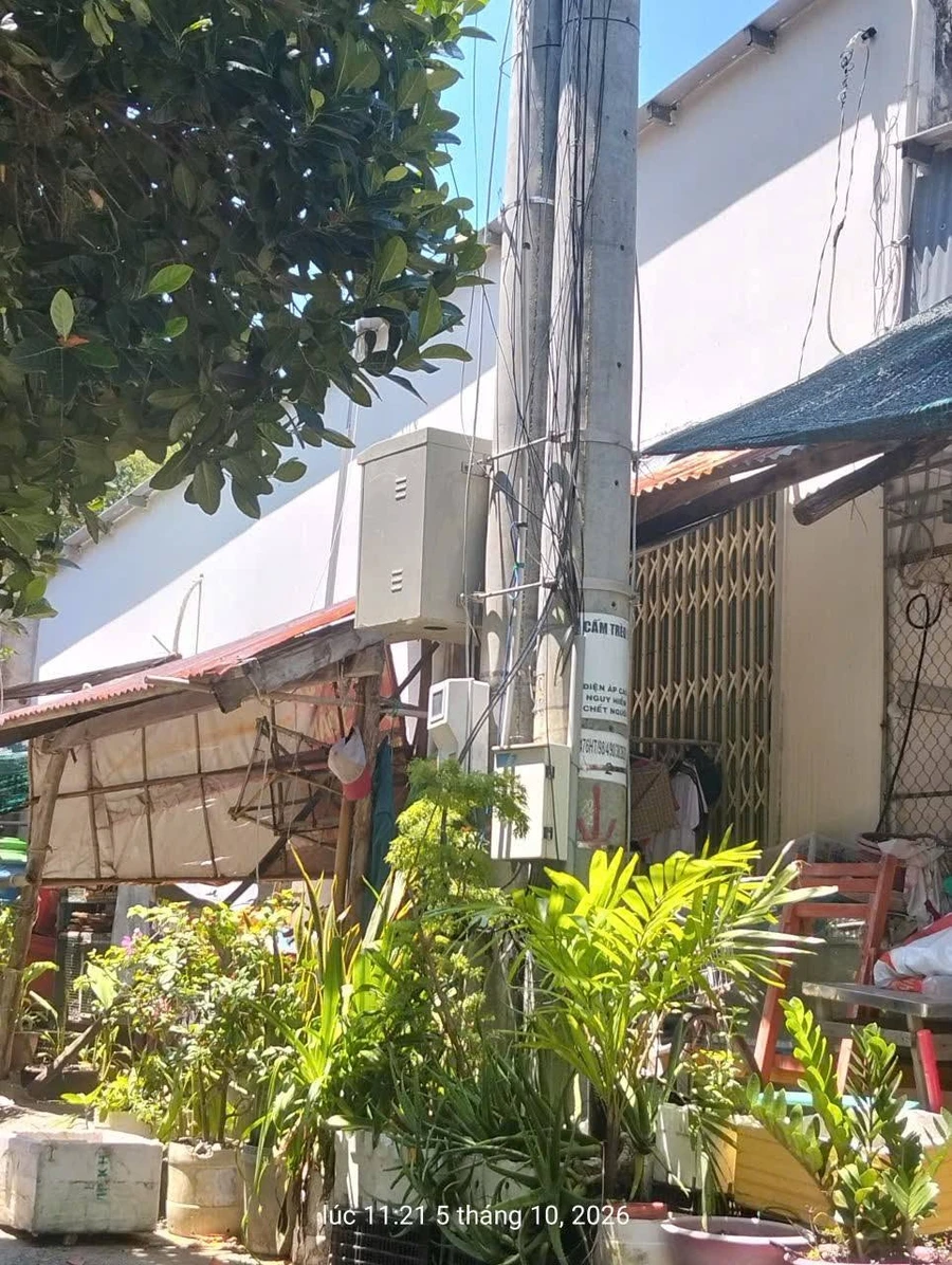 Bán nhà hai mặt tiền 100m² Đảo Hải Tặc, Tiên Hải, An Giang - Ảnh thu nhỏ 4