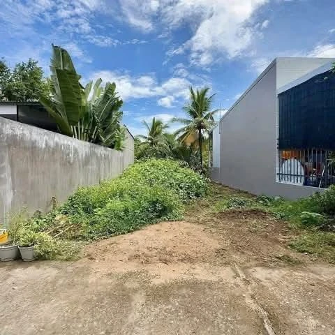 Bán đất nền 100m² Phường 6 Bến Tre, 750 triệu - Ảnh thu nhỏ 3
