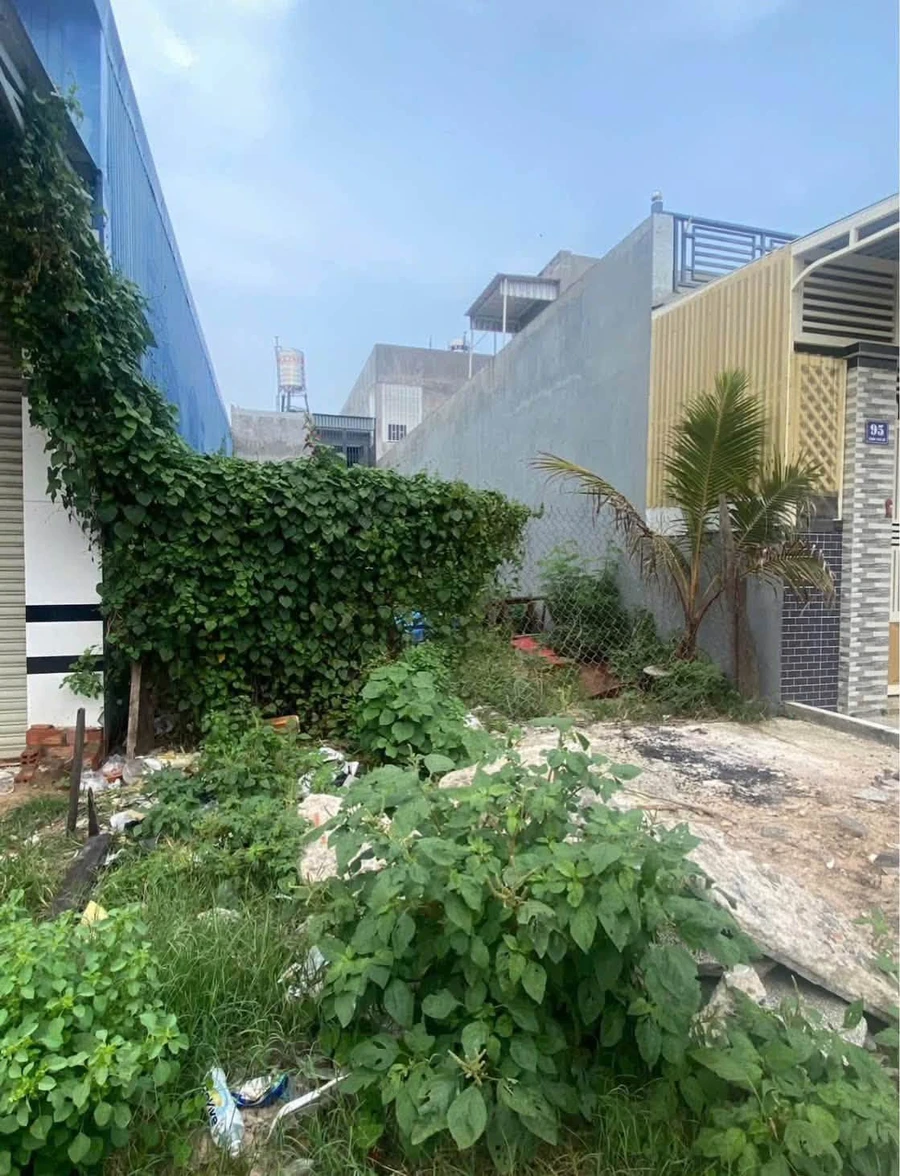 Bán đất thổ cư mặt tiền Trần Thủ Độ, Phan Thiết, 100m2, 1,85 tỷ - Ảnh thu nhỏ 5