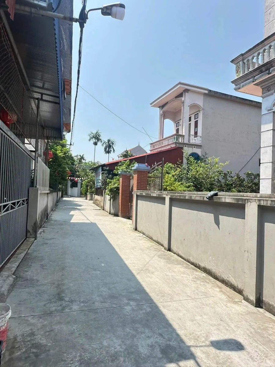 Bán đất Quang Minh Hải Phòng 90m² hơn 700 triệu - Ảnh thu nhỏ 5