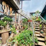 Bán đất mặt tiền Đankia 223m², Đà Lạt, 11 tỷ - Ảnh thu nhỏ 2
