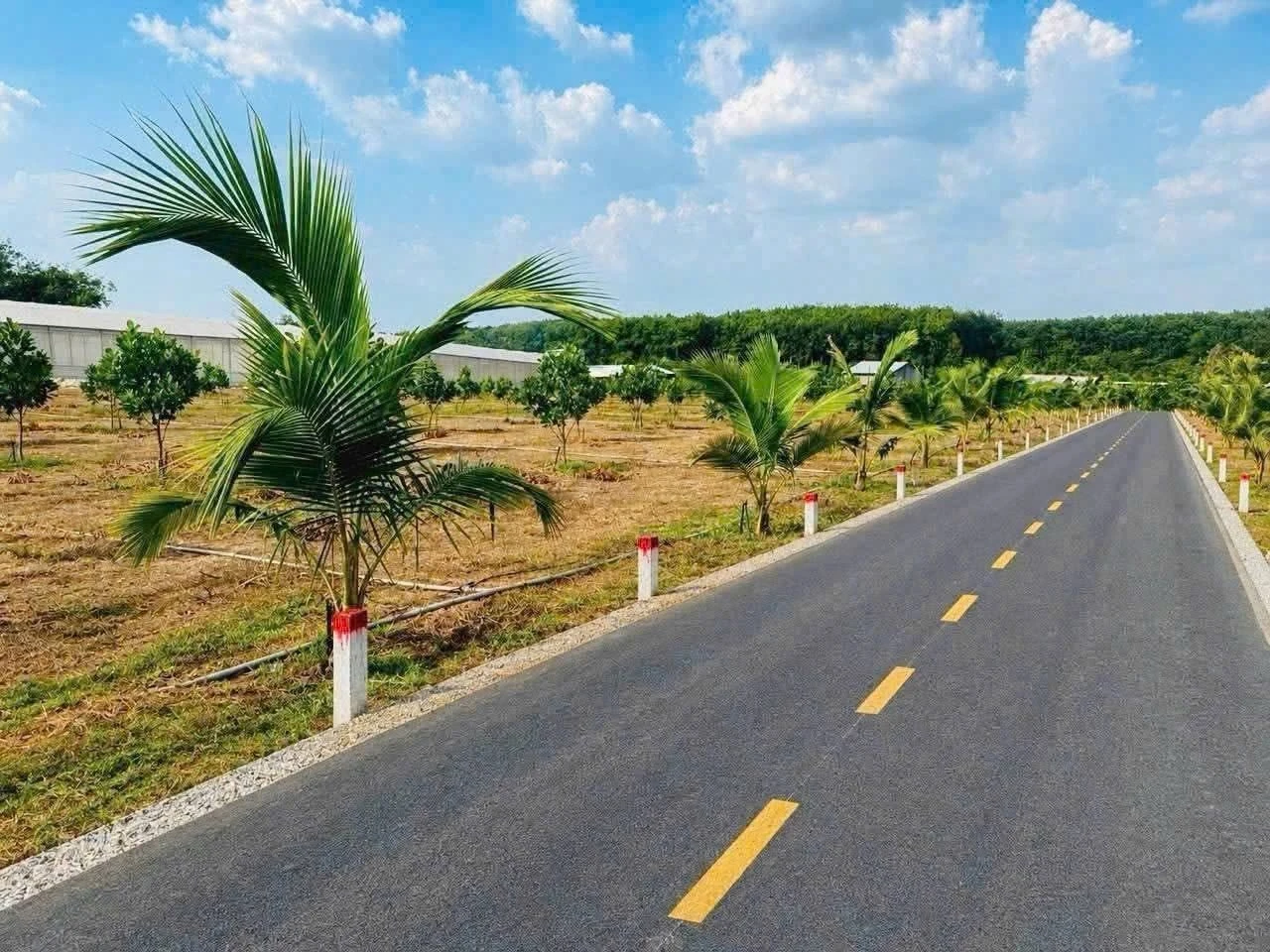 Bán đất 250m2 xã Phước Thành Nhà Bè 480 triệu - Ảnh 1