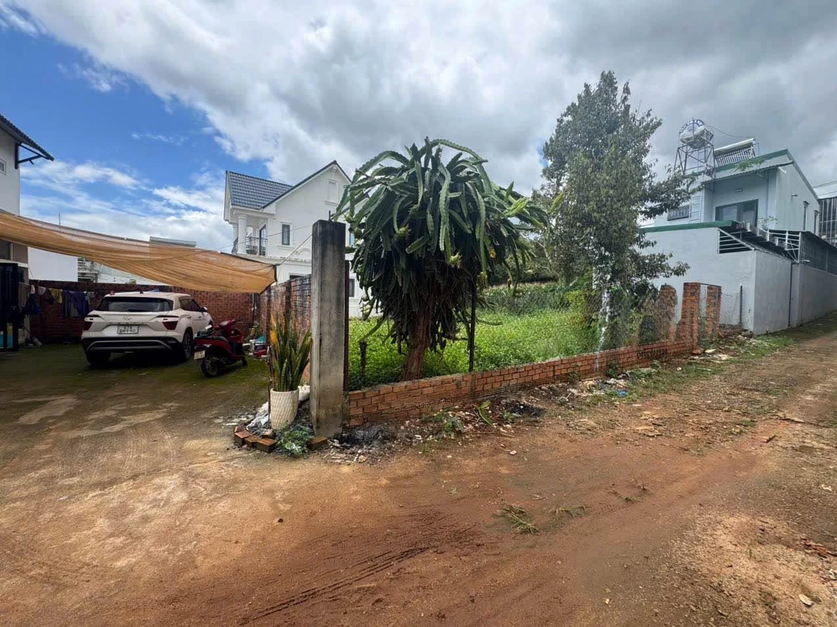 Bán đất hẻm Võ Thị Sáu 169m² Tân Lập, Bình Tân 4.48 tỷ - Ảnh thu nhỏ 3