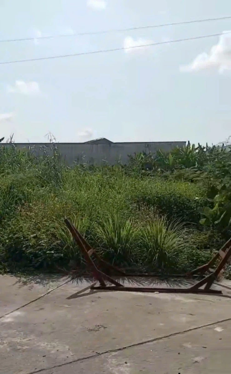 Bán cặp nền 3 mặt tiền 250m² An Giang 1 tỷ 7 - Ảnh thu nhỏ 4