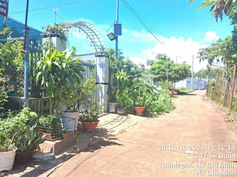 Bán đất mặt tiền Long Tân 610m² Bà Rịa Vũng Tàu