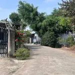 Bán đất nền 156m² Phú Thanh Tân Phú Đồng Nai 490 triệu - Ảnh thu nhỏ 3
