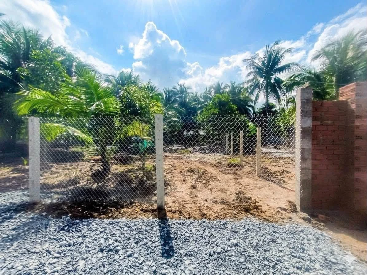 Bán đất Cần Giờ 280m² 595 triệu gần trường Tân Thạch - Ảnh thu nhỏ 2